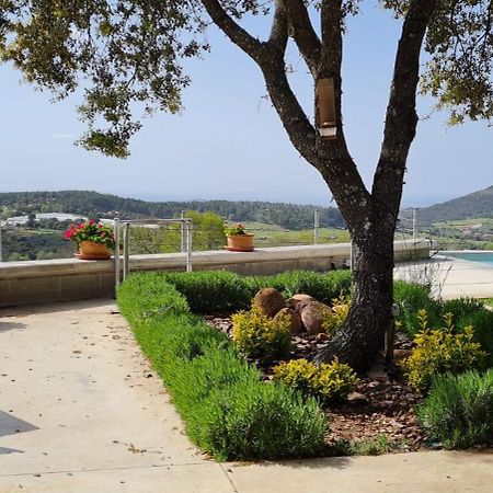 Casa Rural Madre Del Agua. Finca El Robledillo Монестерио Экстерьер фото