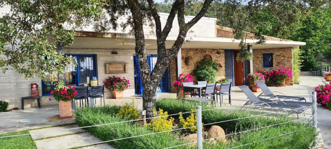 Casa Rural Madre Del Agua. Finca El Robledillo Монестерио Экстерьер фото
